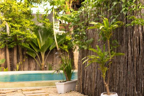 Piscina di ZAN Eden Beach o nelle vicinanze