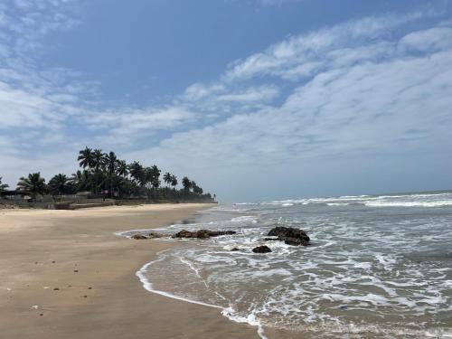 a beach with rocks and palm trees and the ocean at Green Protection Beach House Ghana in Kokrobite