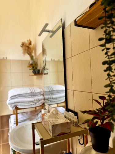 Three bedroom apartment in the centre of the city