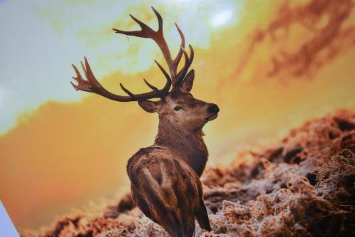 a painting of a deer with antlers on a hill at New The Hideaway at Calver Arms in Stoney Middleton