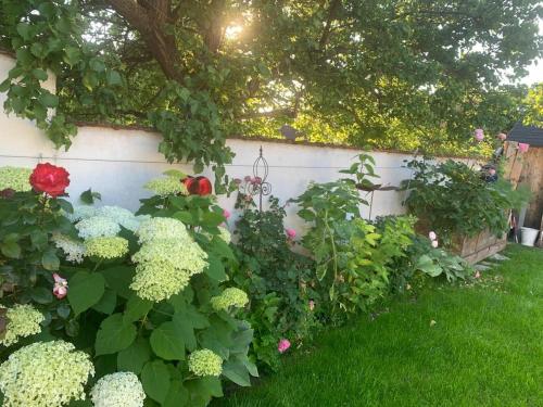 a garden with flowers and a white fence at Quiet Retreat im Weinviertel 
