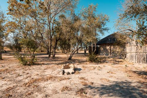Fotografie z fotogalerie ubytování Chobe Hideaway v destinaci Kasinka
