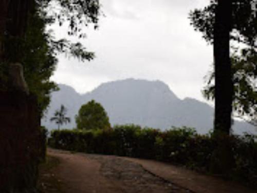 a dirt road with mountains in the background at Forest Edge Hotel in Ginigathena