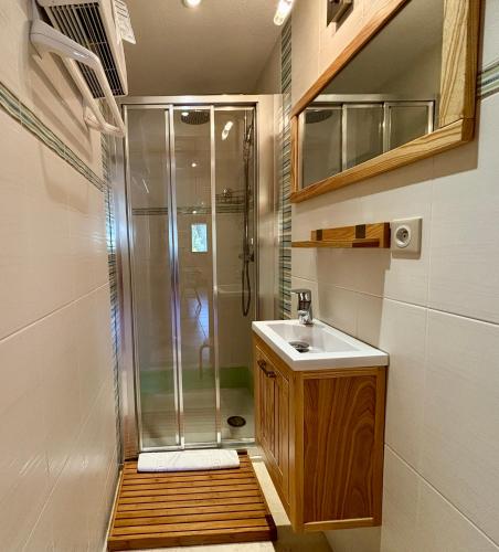 a bathroom with a shower and a sink at Fioles 19 - Appartement face au lac de Vonnes in Châtel