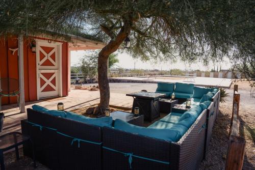 a group of blue chairs sitting under a tree at Room 3 - Downtown Joshua Tree Motel - Pet Friendly - Walk to Shops & Visitor Center, Minutes to Park Entrance in Joshua Tree