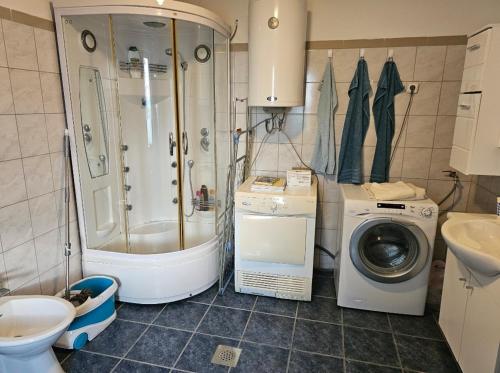 a bathroom with a shower and a washing machine at Hilltop vineyard house in Ivanjkovci