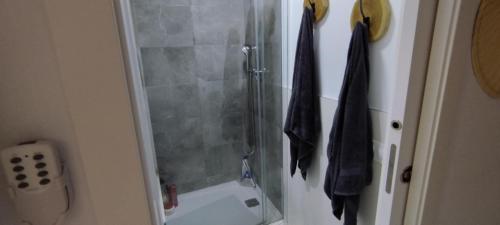 a shower with a glass door in a bathroom at cal'Nathalie in San Juan de los Terreros