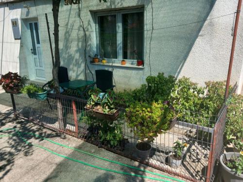 a house with a garden of plants on the sidewalk at Apartman Eldar in Mostar