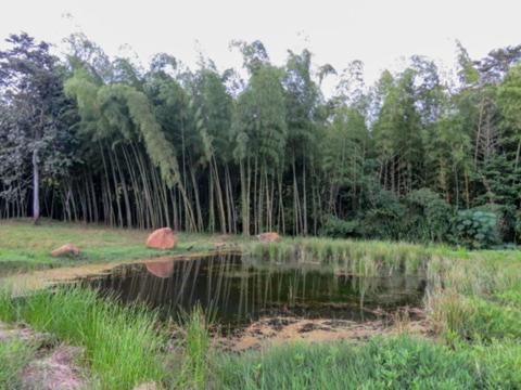 Un paisaje natural cerca de la villa