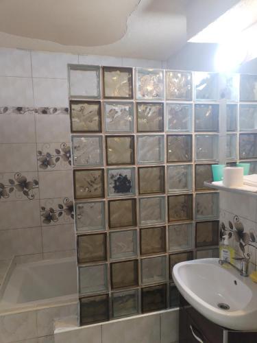 a bathroom with a shower and a sink and a tub at Children room Hunedoara in Hunedoara