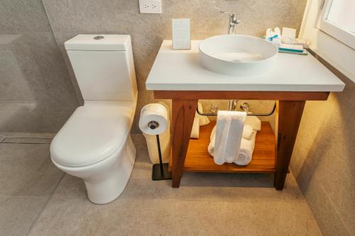 a bathroom with a white toilet and a sink at Hotel Boutique Santa Lucia in Cuenca