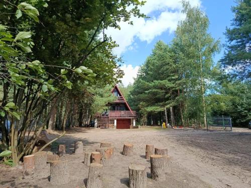a group of logs in front of a log cabin at Izdebno 68 in Izdebno