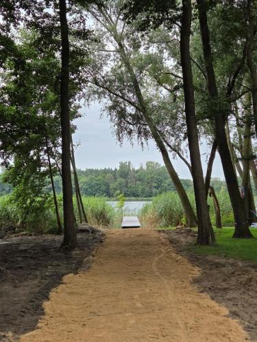 a dirt road with trees and a lake in the background at Izdebno 68 in Izdebno