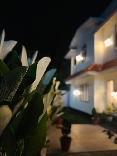 a plant in front of a house at night at Venice villa varkala cliff -luxurious rooms and apartments in Varkala
