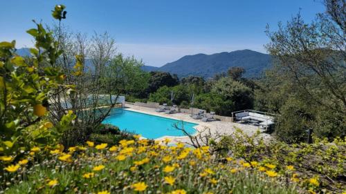 a swimming pool in the middle of a field of flowers at DOMAINE CARDU in Cardo-Torgia