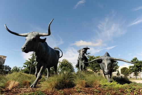 two statues of bulls standing in a field at Staybridge Suites Plano - Legacy West Area by IHG in Frisco