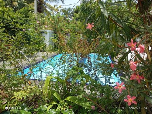 a swimming pool surrounded by plants and flowers at Villu Villa in Anuradhapura