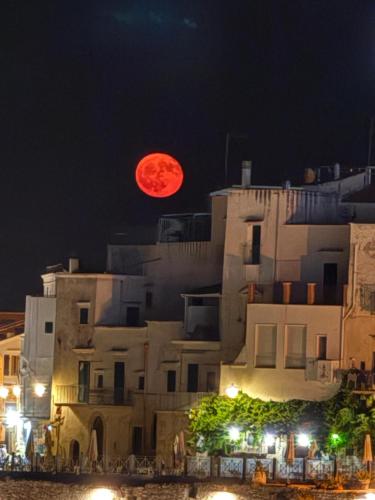 Gallery image of White Hotel in Vieste