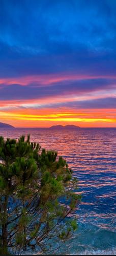a sunset over the ocean with a tree in the foreground at Private Villa Aras 2 - Luxury & Elegance Apartments in Vlorë