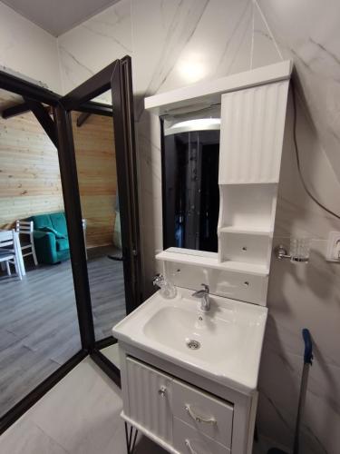a bathroom with a sink and a mirror at Cottage Resiana in Kobuleti