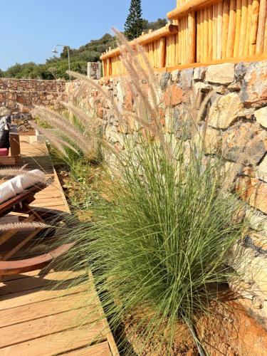Fotografie z fotogalerie ubytování Minoan Villas v destinaci Malia