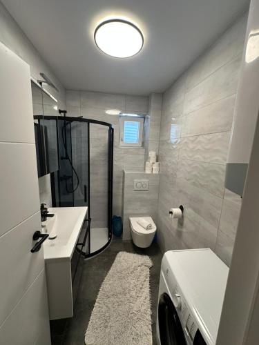 a bathroom with a shower and a toilet and a sink at Apartment Oblak in Vrsi