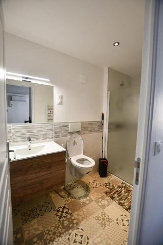 a bathroom with a toilet and a sink at Le Petit Cocon in Château-Chinon