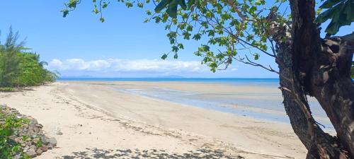 Příroda nedaleko bed and breakfast