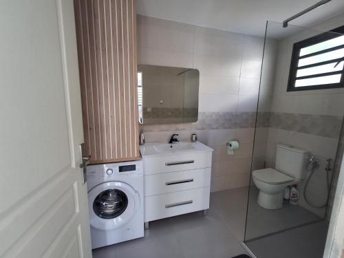 a bathroom with a washing machine and a sink at La case des oiseaux in La Possession