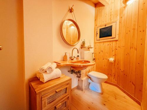 a bathroom with a sink and a toilet and a mirror at Alloggio Stella Alpina in Sondalo