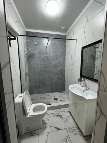 a bathroom with a toilet and a sink and a shower at Imereti in Almaty