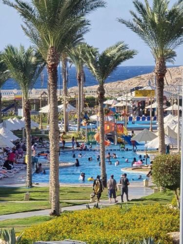 بورتو مطروح - الساحره