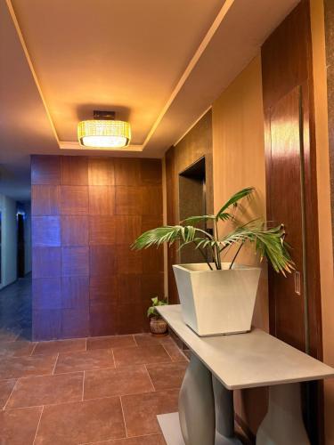 a potted plant sitting on a table in a hallway at Cozy Studio Apartment in Dehradun