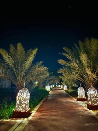 a pathway with palm trees and lights at night at Merzouga Desert Experience Camp-Erg Chebbi Sunset & Camel Ride in Merzouga