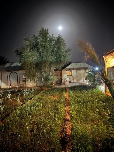 a garden at night with a greenhouse and a tree at Merzouga Desert Experience Camp-Erg Chebbi Sunset & Camel Ride in Merzouga
