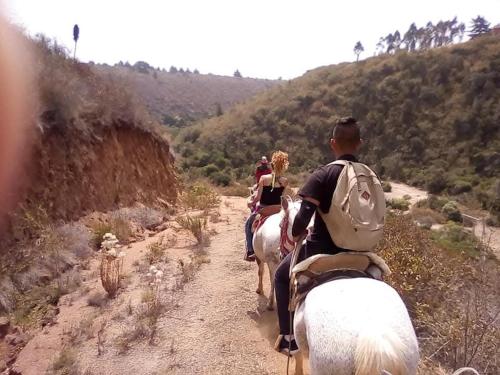 a group of people riding horses down a dirt road at Hostal Boutique Reina del Mar in Cartagena
