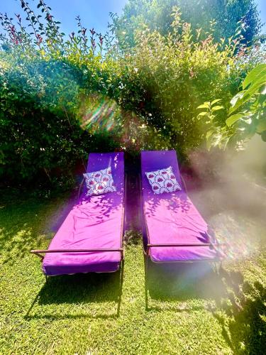 a purple bed sitting in the grass in a field at Villa moderne adapté aux PMR in Carpentras
