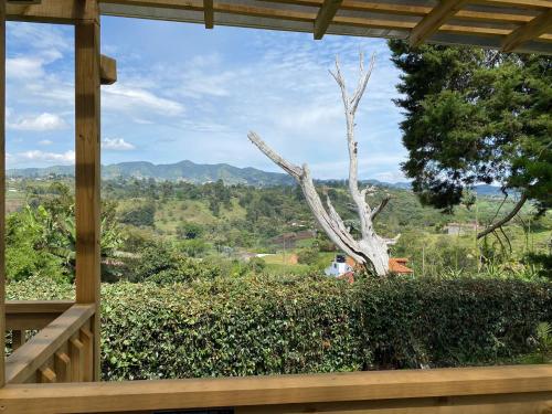 a view from the porch of a house with a tree at Hermoso chalet en marinilla in Marinilla