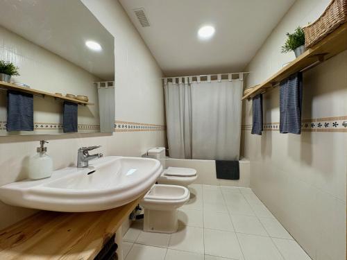 a bathroom with a sink and a toilet at AIzaetxea in Jaca