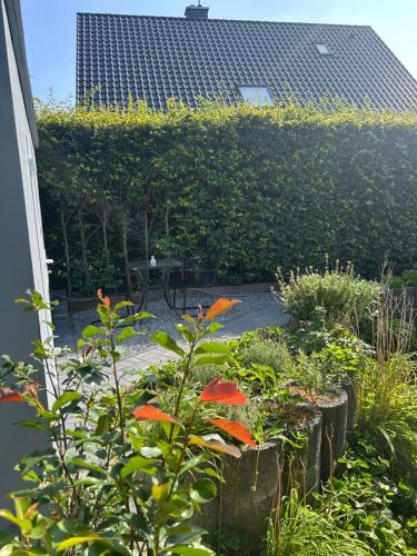 a garden with red flowers in front of a hedge at Ferienwohnung mit Infrarotsauna in Coesfeld