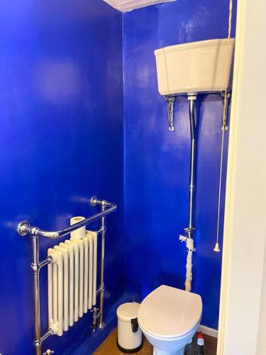 a blue bathroom with a toilet and a radiator at Traditional farm house in Antrim in Muckamore