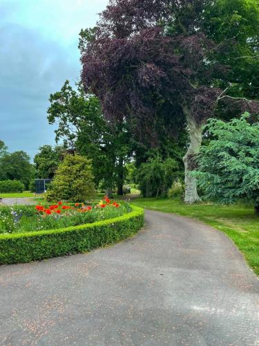 a path in a park with flowers and a tree at Traditional farm house in Antrim in Muckamore