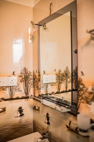 a large mirror in a bathroom with ducks in the water at Royal Crest Villa in Batawala
