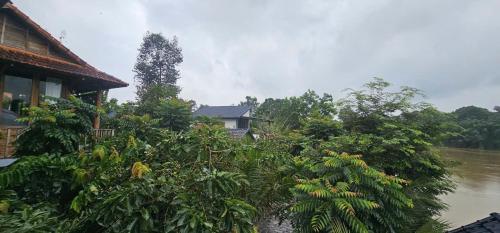 a house on the side of a river with trees at Coco Retreat in Tân Phú