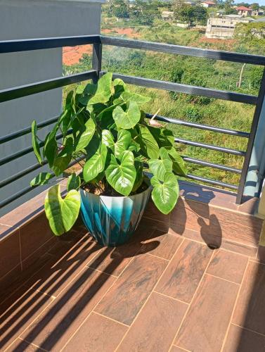 a plant in a pot sitting on a balcony at The Blue Resort in Yaoundé