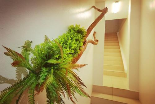 a plant on the wall next to a staircase at Cozy Suite for 2-6 pax near Kek Lok Si, Penang Hill, Sunshine Central in Ayer Itam