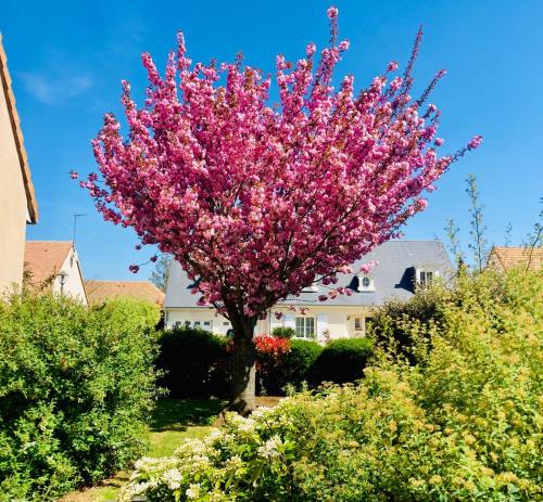 Chez Armelle