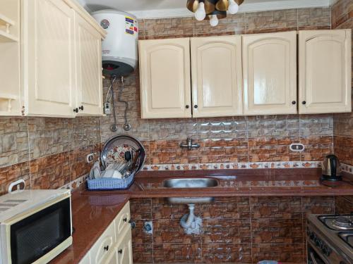 a kitchen with a sink and a microwave at Diplo 1- k 45 challet with private garden in Dawwār Abū Maḩrūs