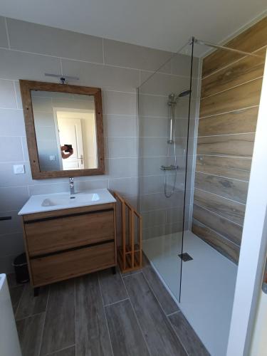 a bathroom with a sink and a shower with a mirror at Le Nid de la Baie in Pendé