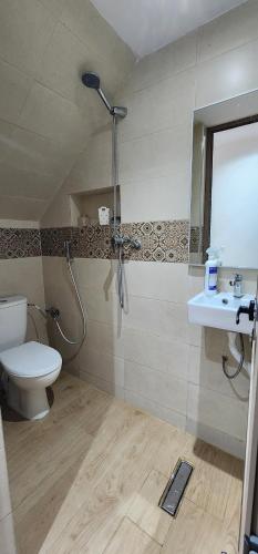 a bathroom with a shower and a toilet and a sink at Le nid du paon in Essaouira